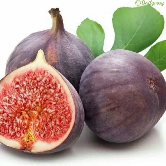 🍑Super Giant Fig Tree Seeds - The Sweetness of a Peach in Every Bite! 🌟 - Image 7