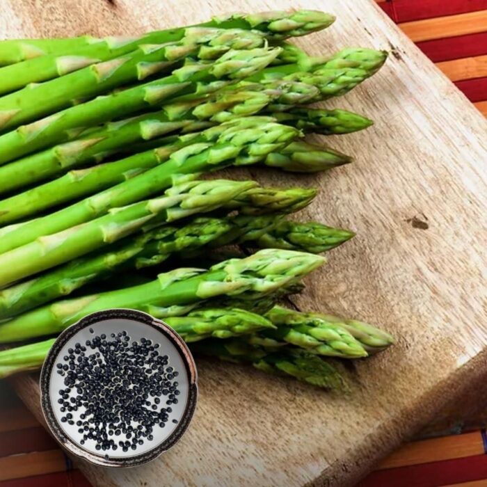 🌿King of Vegetables - Asparagus Mary Washington Seeds - Image 5