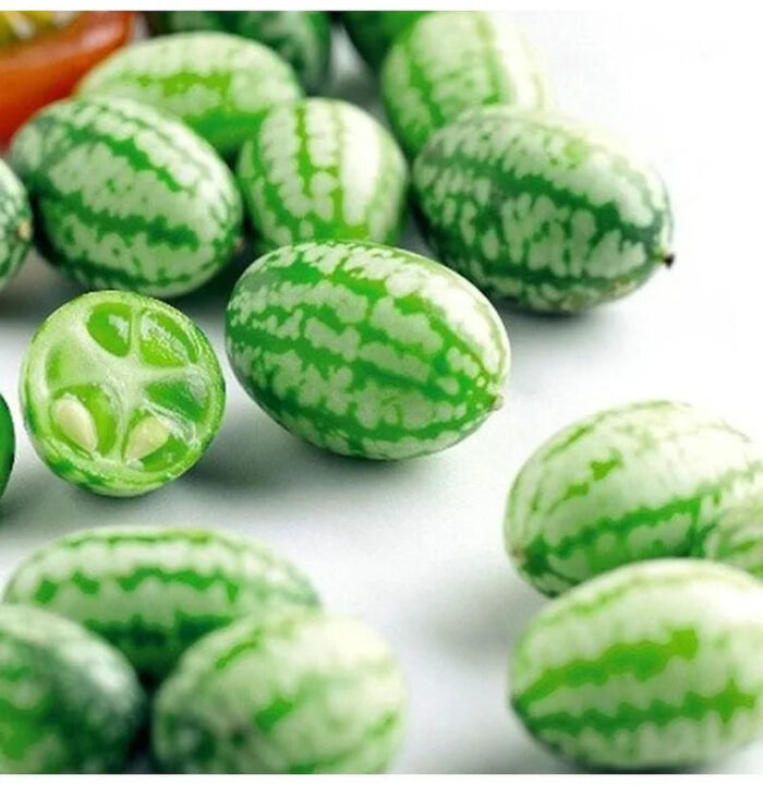 Thumb Watermelon Seeds - Image 6