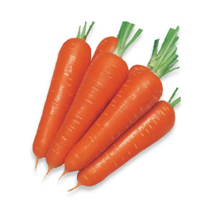 Sweet Carrot Seeds - Image 6