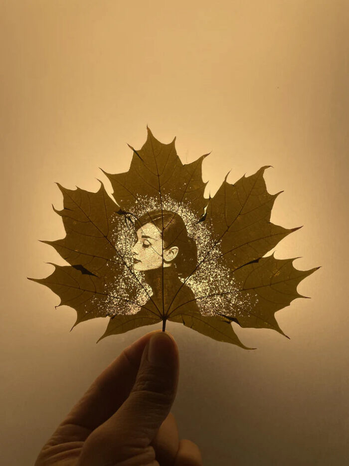 Leaf Engraving ( With Wooden Frame) - Image 3